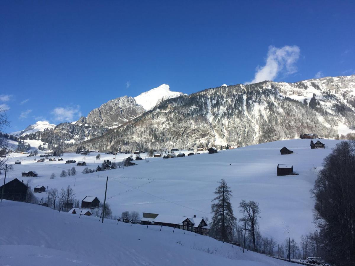 Ferienwohnung Haus Am Bach In Toggenburg Вильдхаус Экстерьер фото