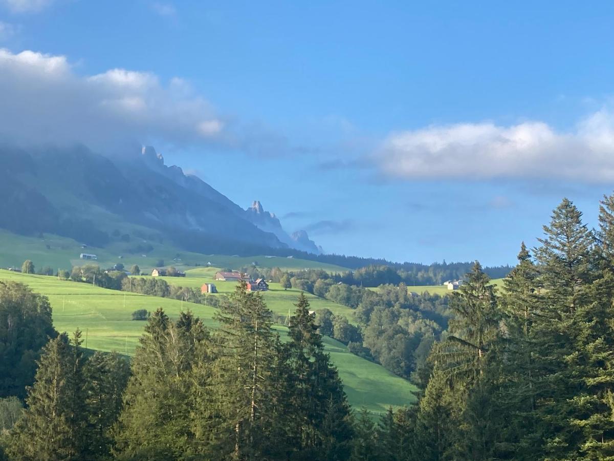 Ferienwohnung Haus Am Bach In Toggenburg Вильдхаус Экстерьер фото
