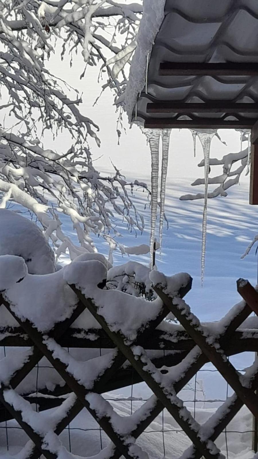 Ferienwohnung Haus Am Bach In Toggenburg Вильдхаус Экстерьер фото