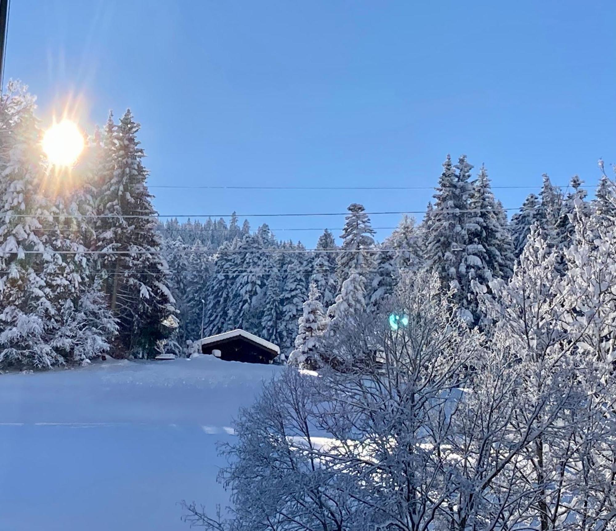Ferienwohnung Haus Am Bach In Toggenburg Вильдхаус Экстерьер фото